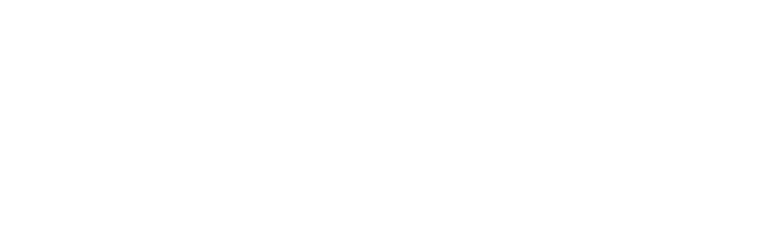 Logo white