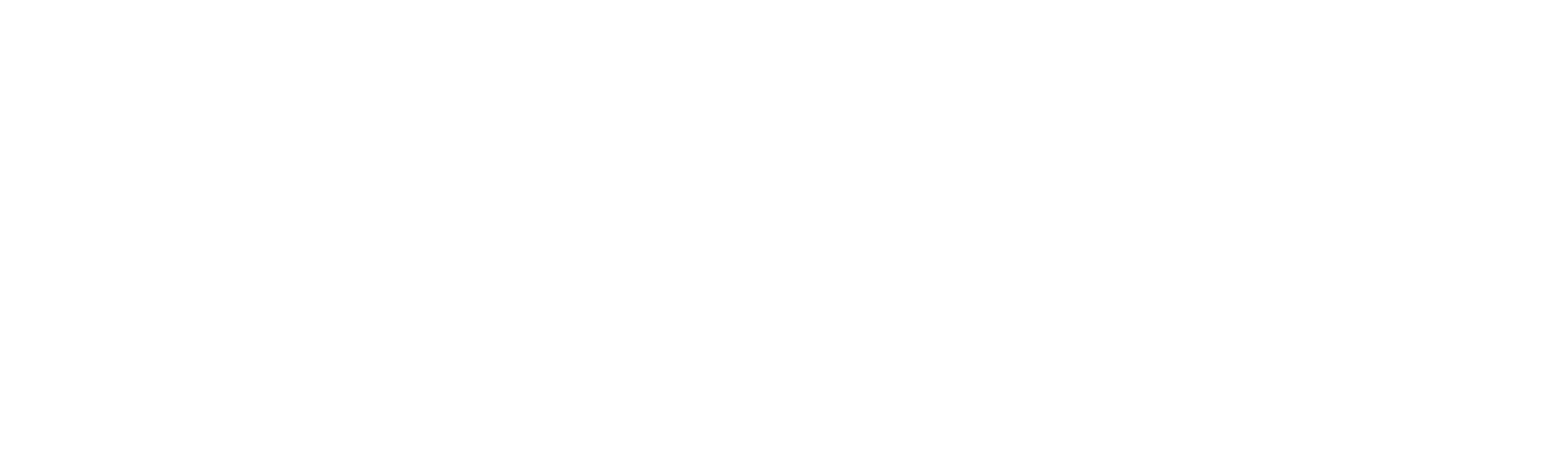 Wherescape main logo white
